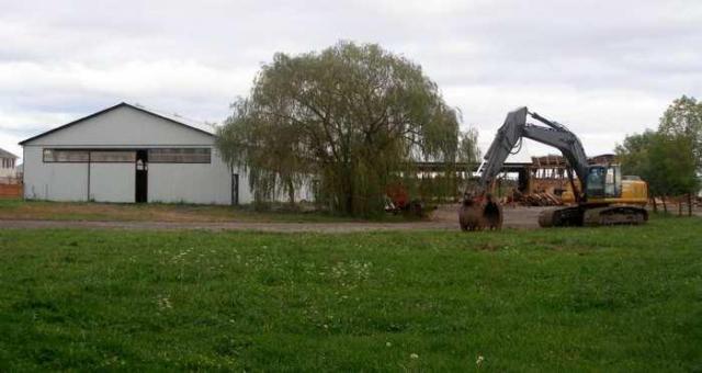 Five Star Ranch photo 4