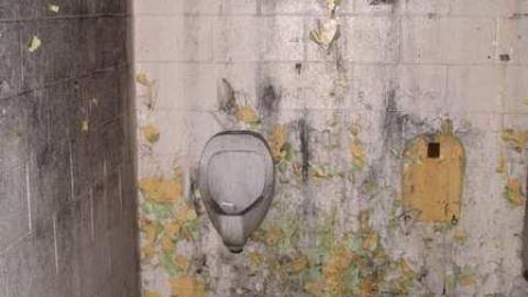 Sheezabig 09/2013 - McCormicks-Biscuit-Factory913.jpg