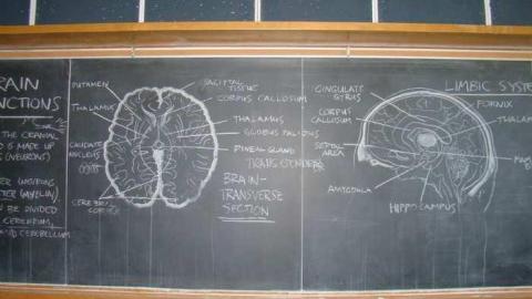 Very Active Sales Centre - Alderwood-Collegiate-Institute406.jpg