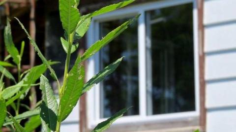 Hwy 6 House 2013 - Hwy-6-House4.jpg