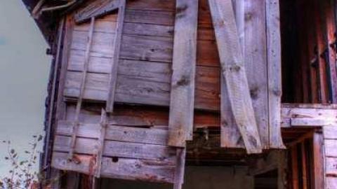 Photo from Detlor rd 