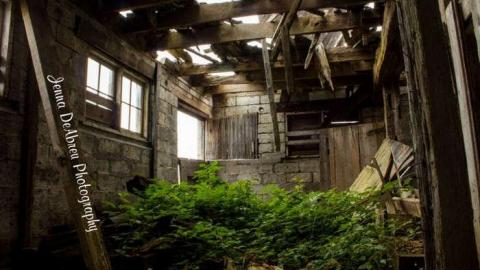 Photo from Barn and House