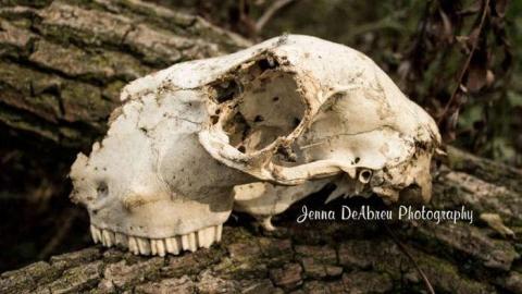 Barn and House - IMG_9491 (1).jpg