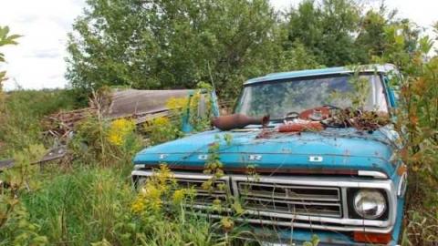 Burys Green - tractor graveyard photo 4