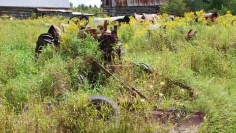 Burys Green  - Burys-Green--tractor-graveyard58.jpg