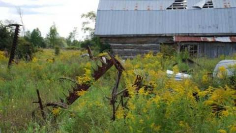 Burys Green - tractor graveyard - Kawartha Lakes, Ontario