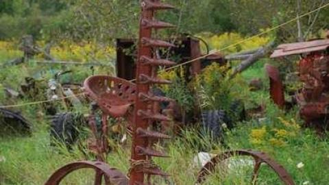 Burys Green  - Burys-Green--tractor-graveyard66.jpg