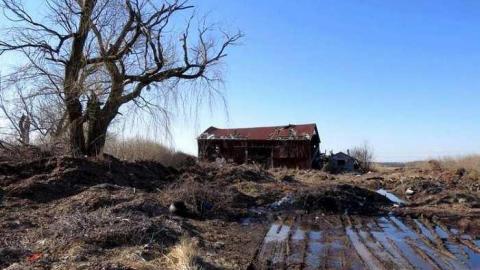 Elfrida Farm Ruins 2013 - Corners-Tagged-to-Death12.jpg