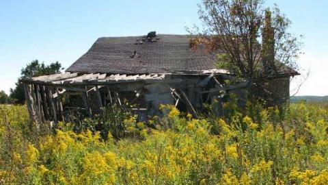 Photo from Sept 8/13 Visit