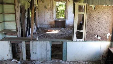 Photo from Sept 8/13 Visit