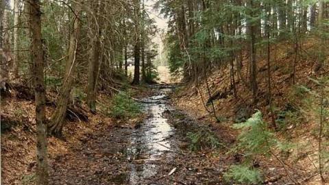 Historic Gilmour Tramway - Lake Of Bays, Ontario