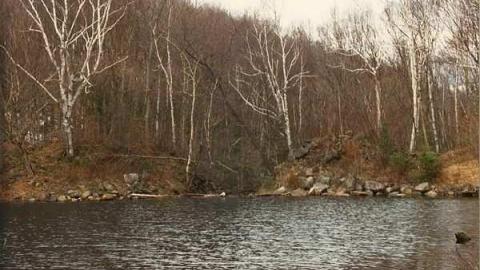 Tramway Gallery - Historic-Gilmour-Tramway11.jpg