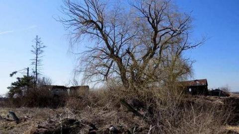 Elfrida Farm Ruins 2013 - Corners-Tagged-to-Death21.jpg