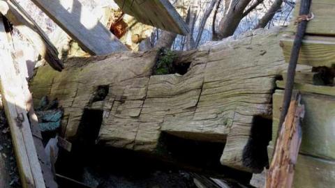 Photo from Elfrida Farm Ruins 2013