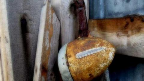 Photo from Elfrida Farm Ruins 2013