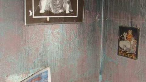 Three's Not A Crowd - 3-X-27--8190.jpg