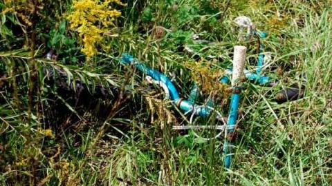 Bexley farm house - Bexley-Century-Home3.jpg