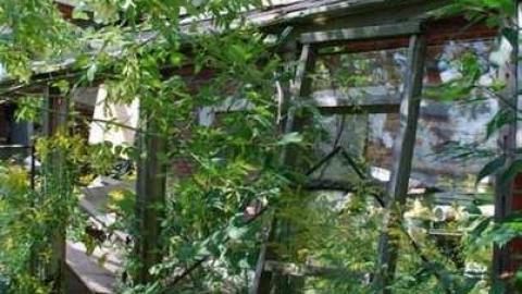 Bexley farm house - Bexley-Century-Home6.jpg