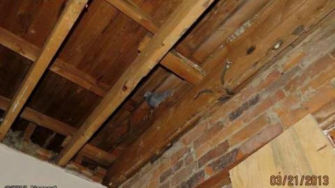 Tudor Hall 2013 - Tudor-Hall-Apartments28.jpg