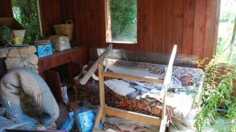 Bexley farm house - Bexley-Century-Home8.jpg