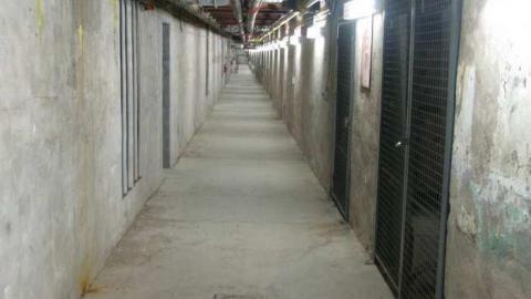 May 26/13 - IMG_5341.jpg