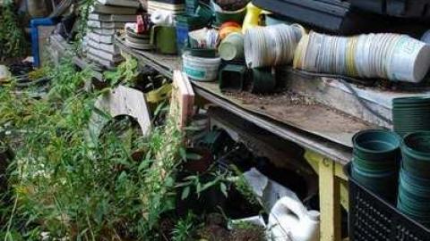 Bexley farm house - Bexley-Century-Home17.jpg