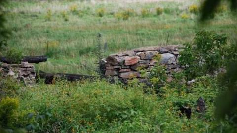 Bexley farm house - Bexley-Century-Home19.jpg