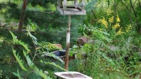 Hwy 35 White House - Hwy-35-Coboconk-white-house5.jpg