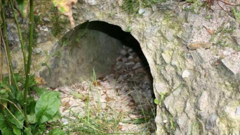 Ruins in the Woods - Ruins-in-the-Woods-of-Odessa14.jpg