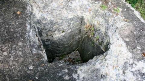 Ruins in the Woods - Ruins-in-the-Woods-of-Odessa2.jpg