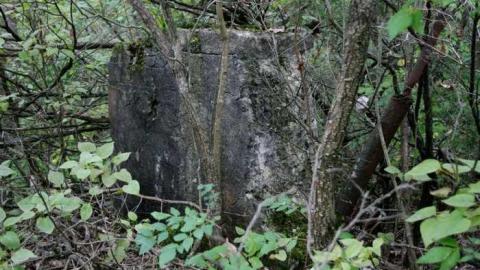 Ruins in the Woods - Ruins-in-the-Woods-of-Odessa6.jpg