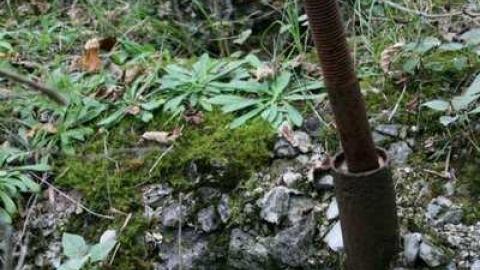 Ruins in the Woods - Ruins-in-the-Woods-of-Odessa7.jpg