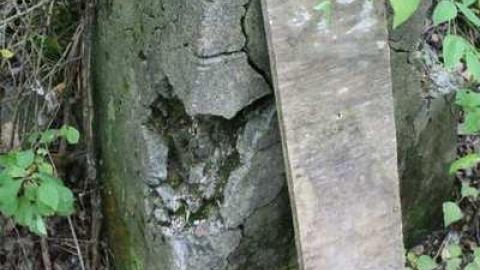 Ruins in the Woods - Ruins-in-the-Woods-of-Odessa9.jpg