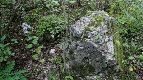 Ruins in the Woods - Ruins-in-the-Woods-of-Odessa10.jpg