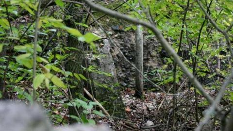 Ruins in the Woods - Ruins-in-the-Woods-of-Odessa18.jpg