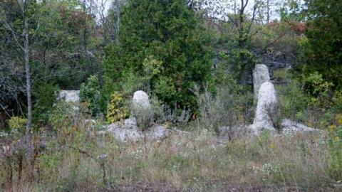 Ruins in the Woods - Ruins-in-the-Woods-of-Odessa11.jpg