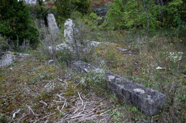 Ruins in the Woods of Odessa - Loyalist, Ontario