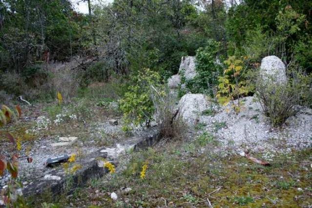 Ruins in the Woods of Odessa photo 5