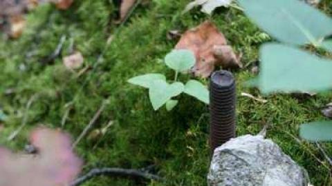 Ruins in the Woods - Ruins-in-the-Woods-of-Odessa13.jpg