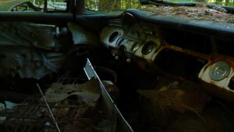 Big 3 - Clear-Lake-Car-Dump21.jpg