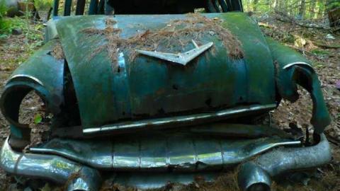 Big 3 - Clear-Lake-Car-Dump26.jpg