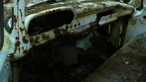 Big 3 - Clear-Lake-Car-Dump17.jpg