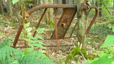 Big 3 - Clear-Lake-Car-Dump29.jpg