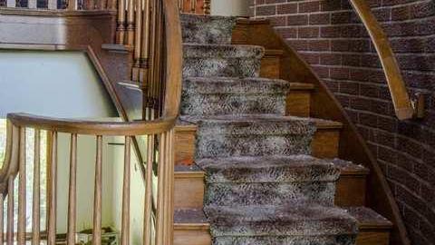 September 2013 - House-In-The-Swamp88.jpg