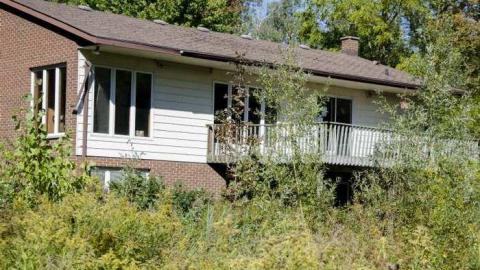 September 2013 - House-In-The-Swamp81.jpg