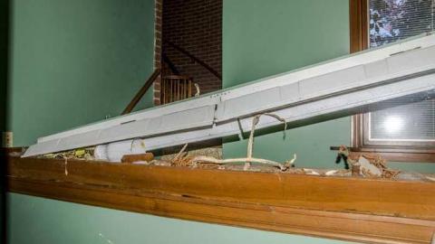 September 2013 - House-In-The-Swamp121.jpg