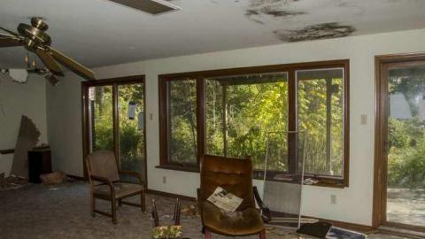 September 2013 - House-In-The-Swamp122.jpg