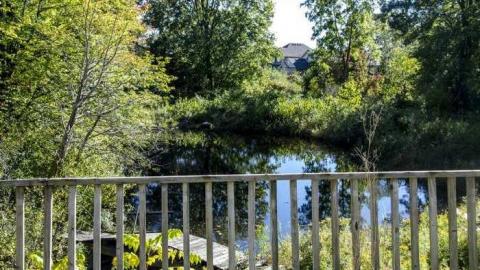 September 2013 - House-In-The-Swamp126.jpg