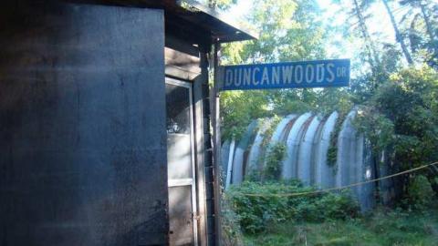 When Birds Attack - Runway-Rundown56.jpg