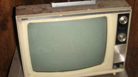 When Birds Attack - Runway-Rundown96.jpg